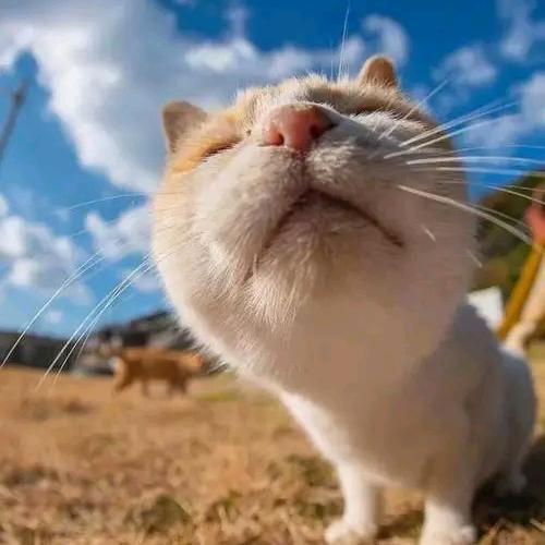 我好哇塞！！