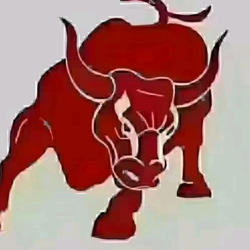 点金教练