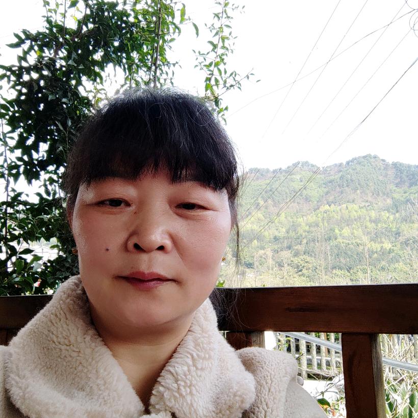 小燕子