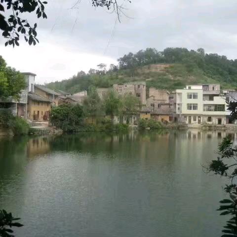 龙垌土生土长