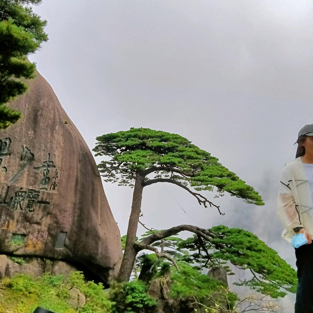 陈丽