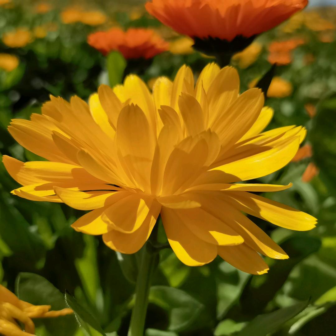 海南州共和海边客栈