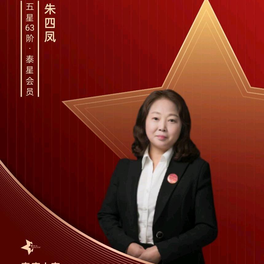 泰康路上——朱四凤