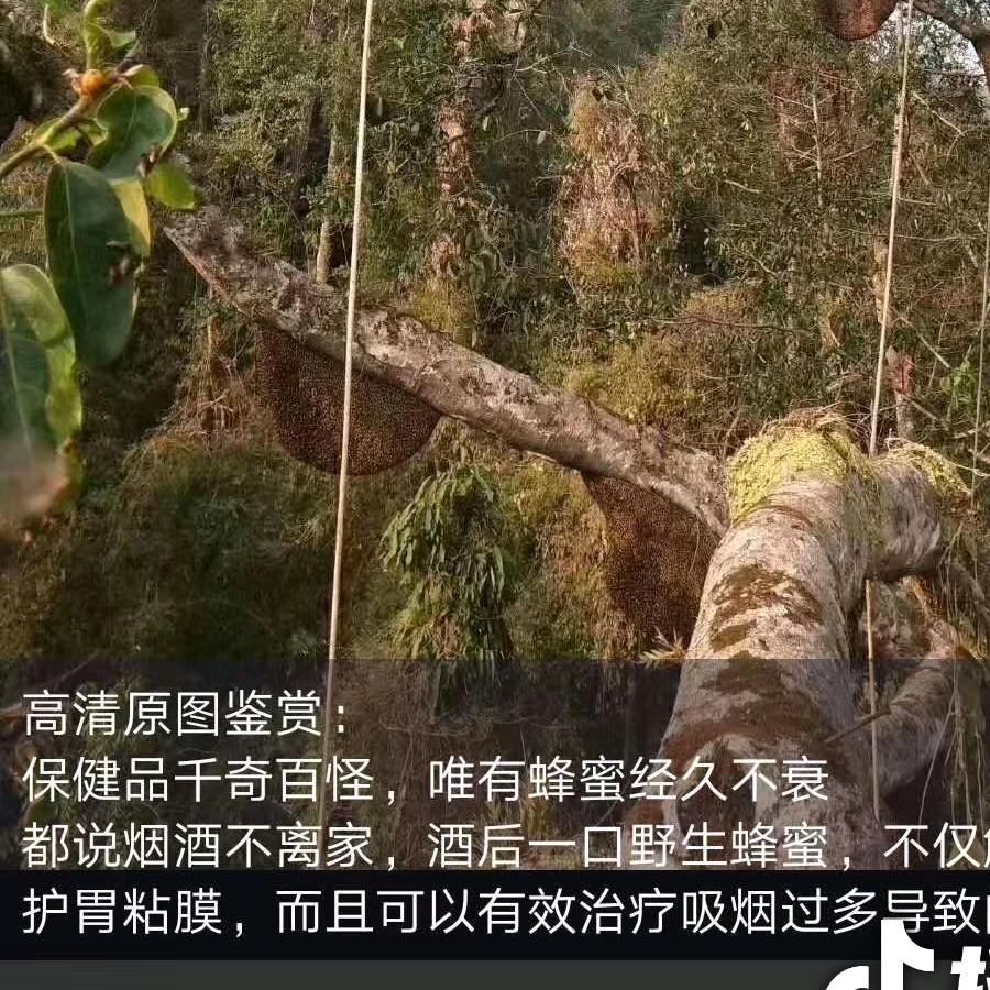江疯子