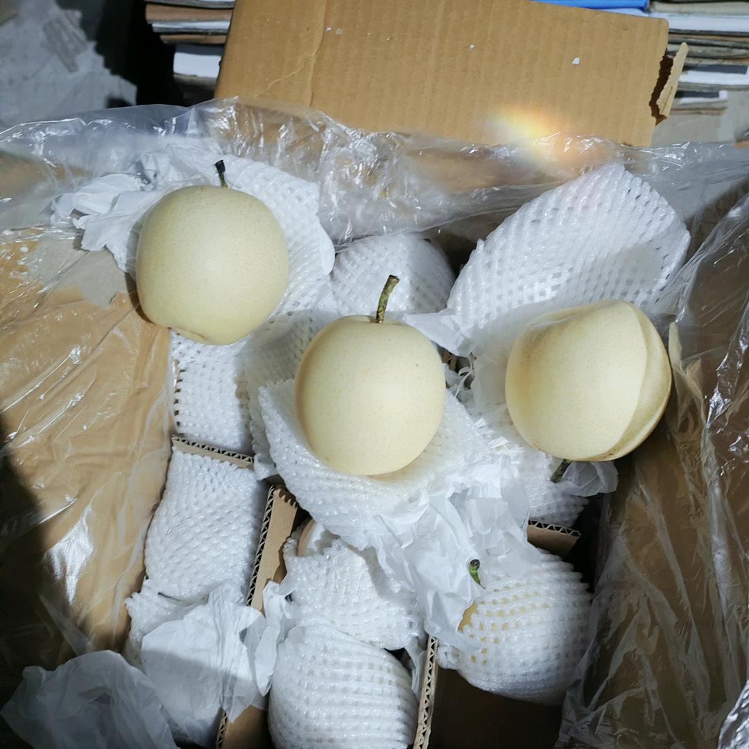 赵县军阳梨果种植专业合作社