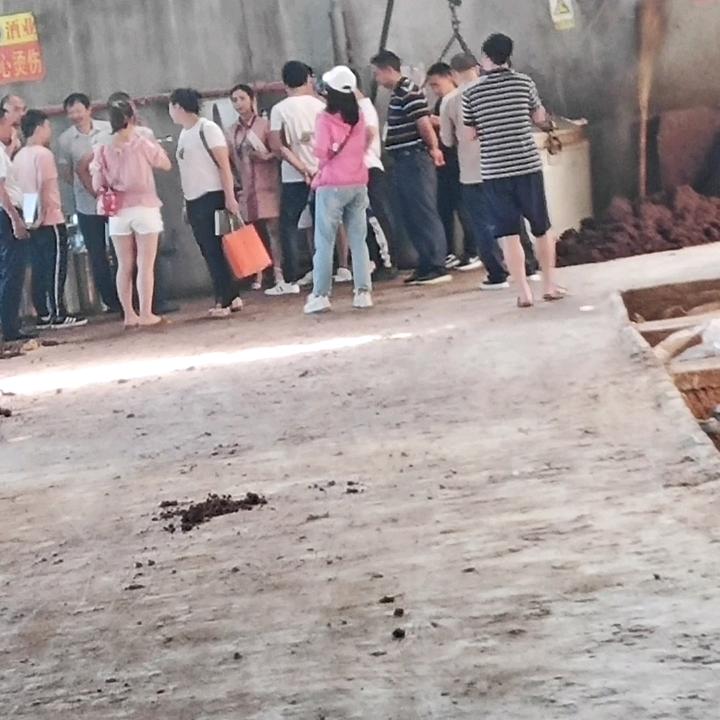 中成