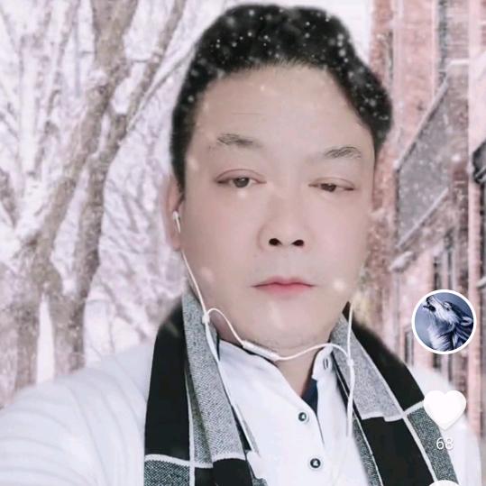苍狼
