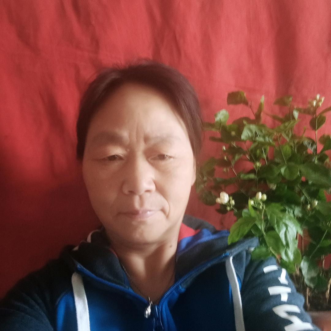 白云恋歌