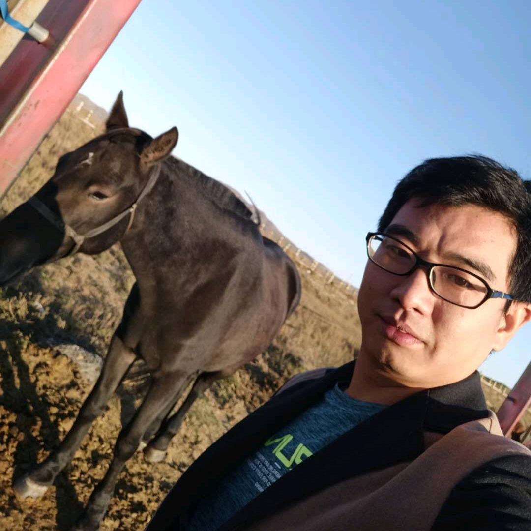 致和物流成都重庆银川专线