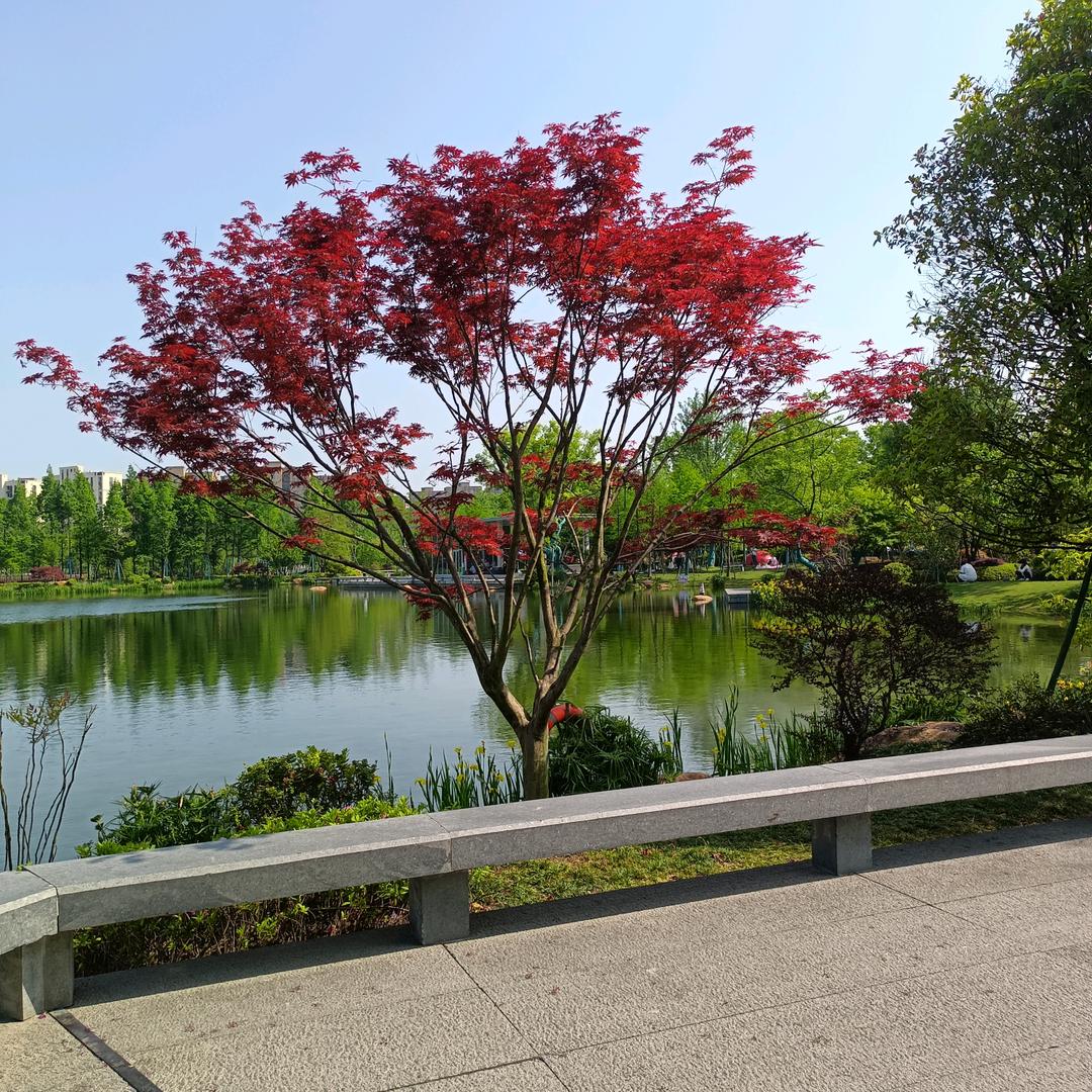 🍃快乐每一天🌸