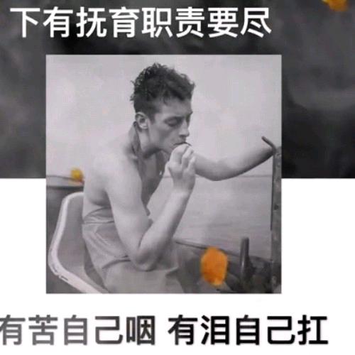 专业虾搞