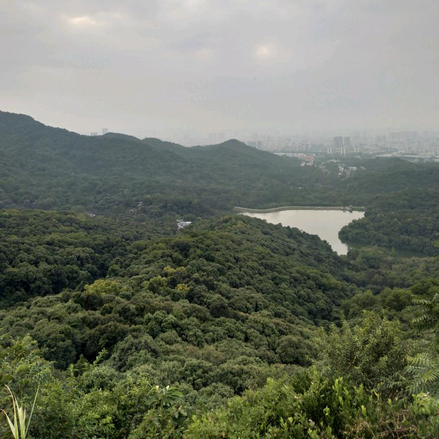潼欣水产赶海海鲜