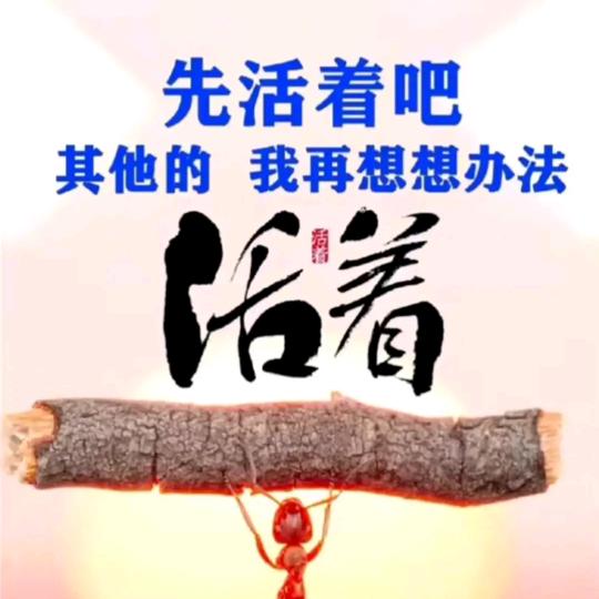 小午