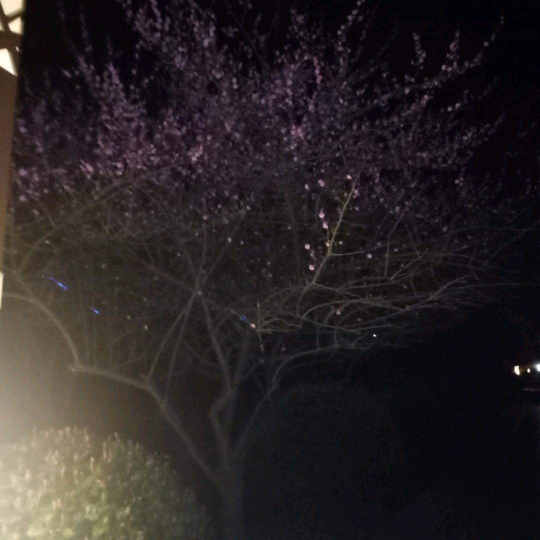 弦外之音的美好