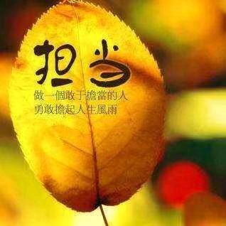 豫志汽车贴膜装饰店官方号