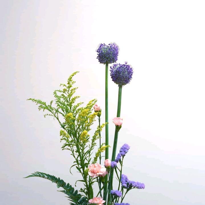 知足常乐