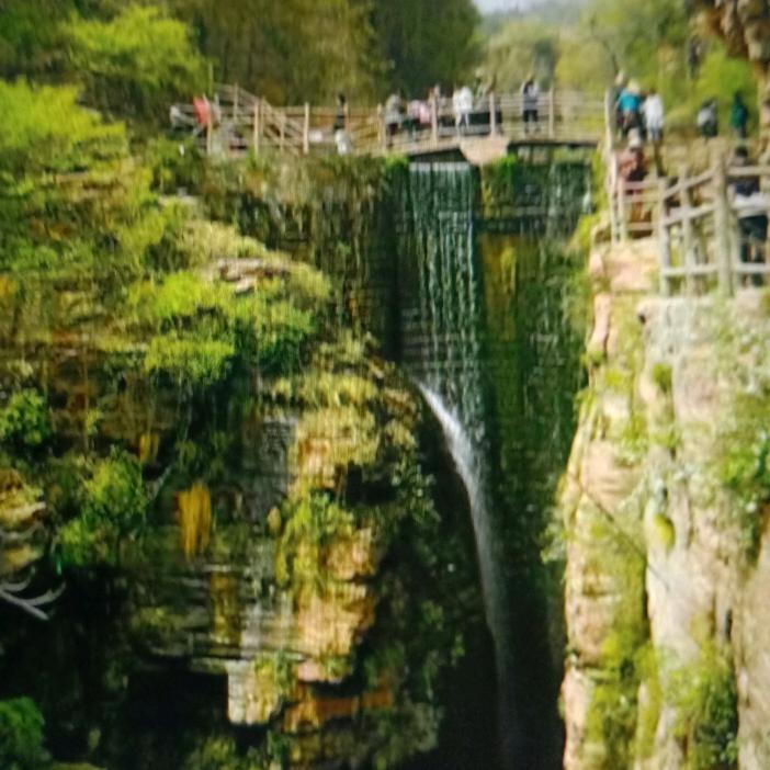 山里人强哥