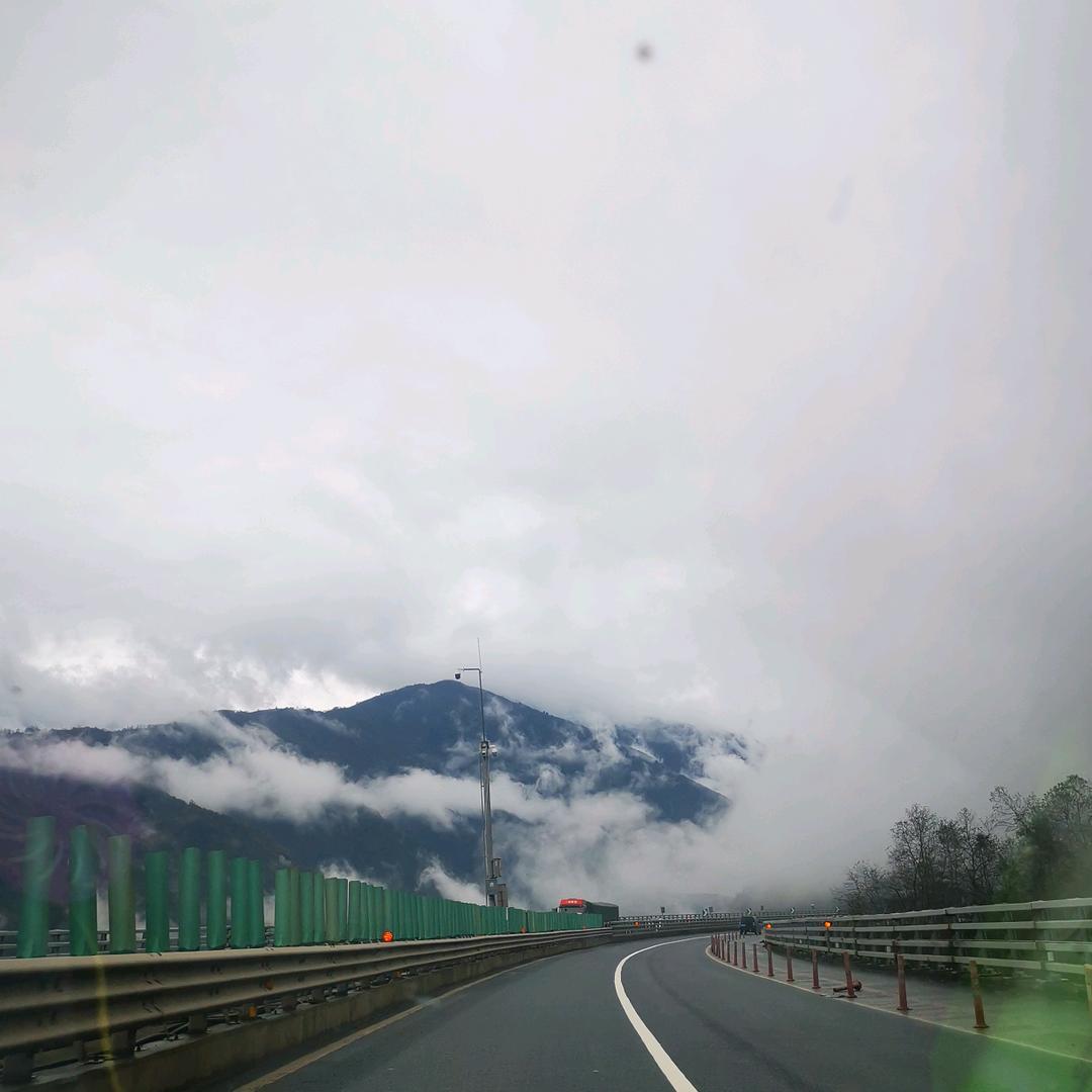 若愚