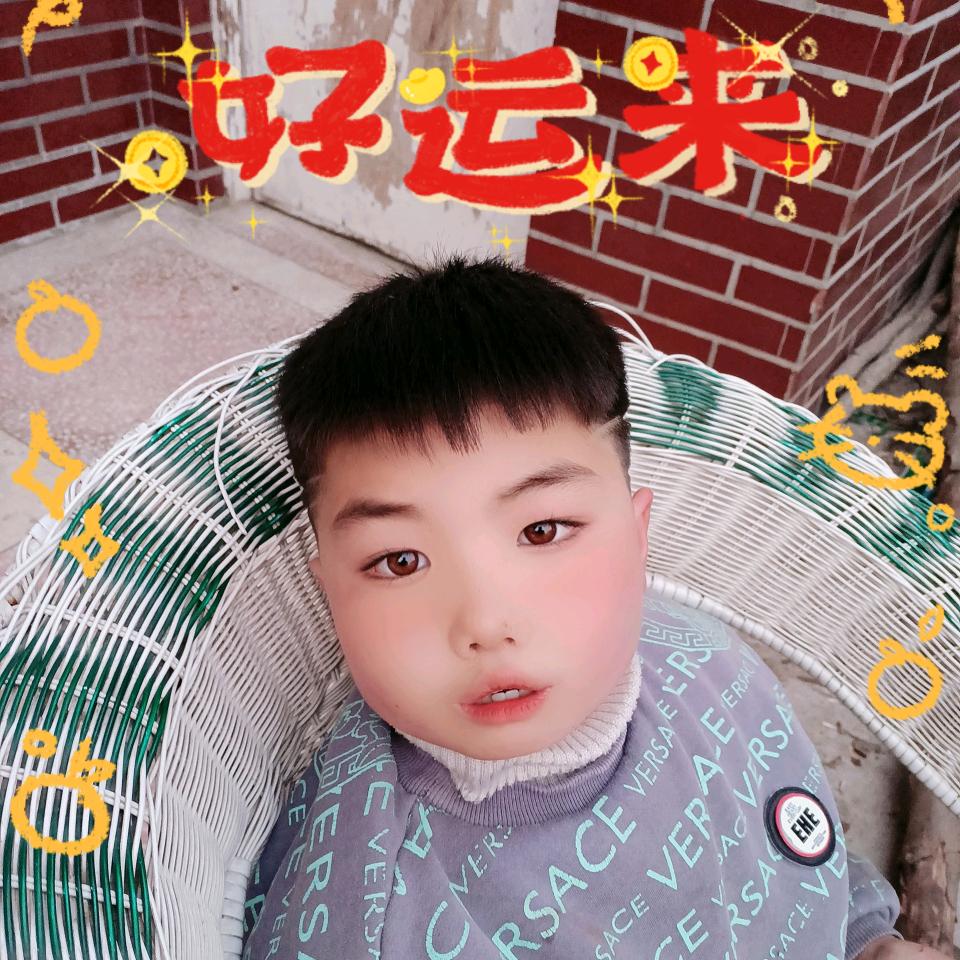 远方的飞鹰