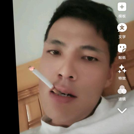 追梦人&枫