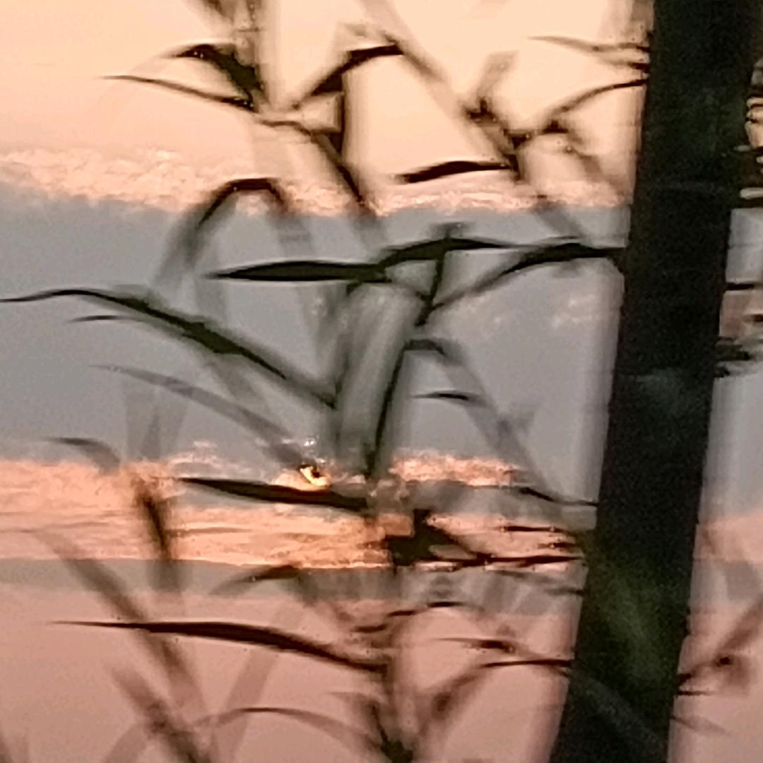 梨子梨子梨子点·💚