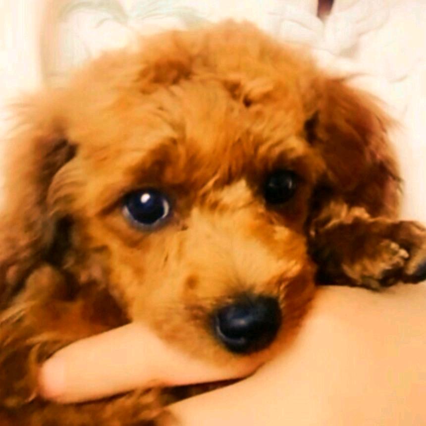 顺顺顺顺~拒绝私聊