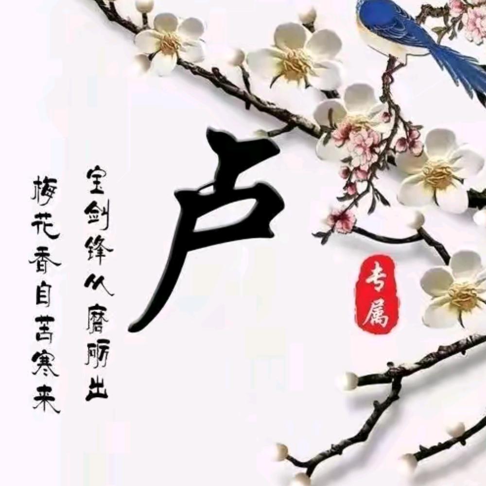卢京梅