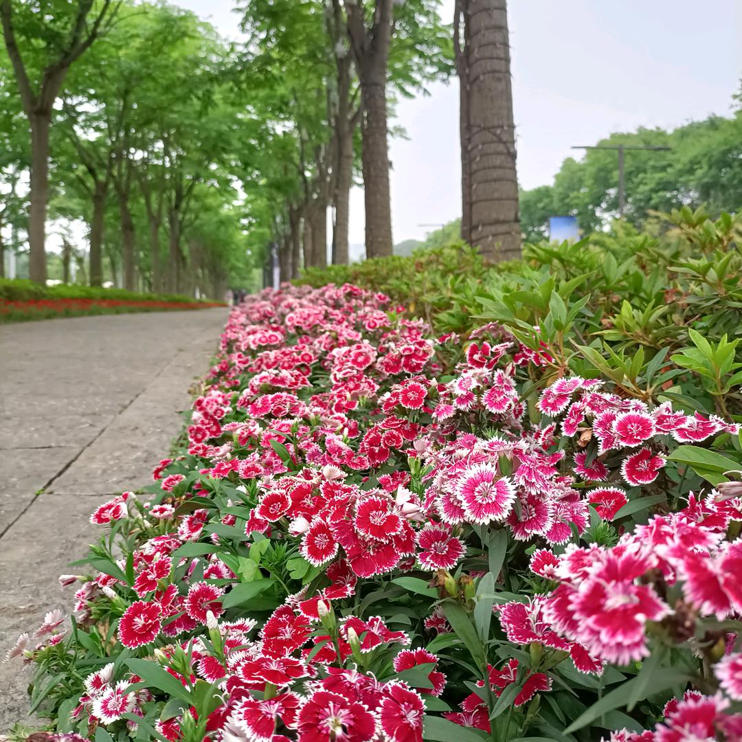 参情拥鲍