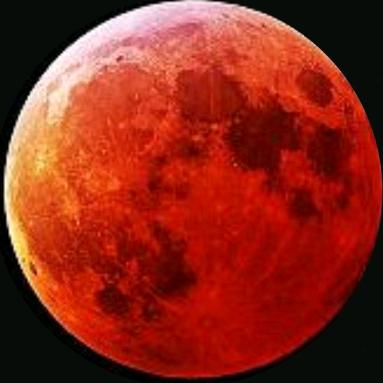 红月亮🏮囍🏮