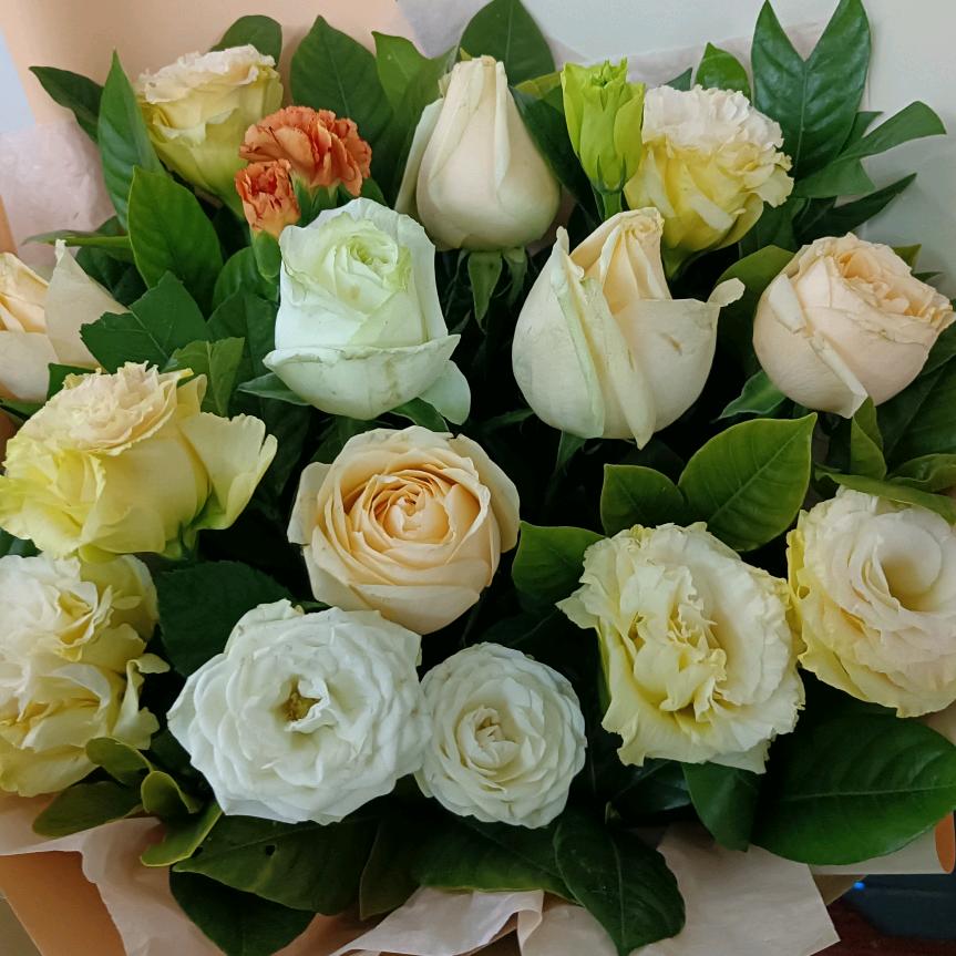春天的梅花