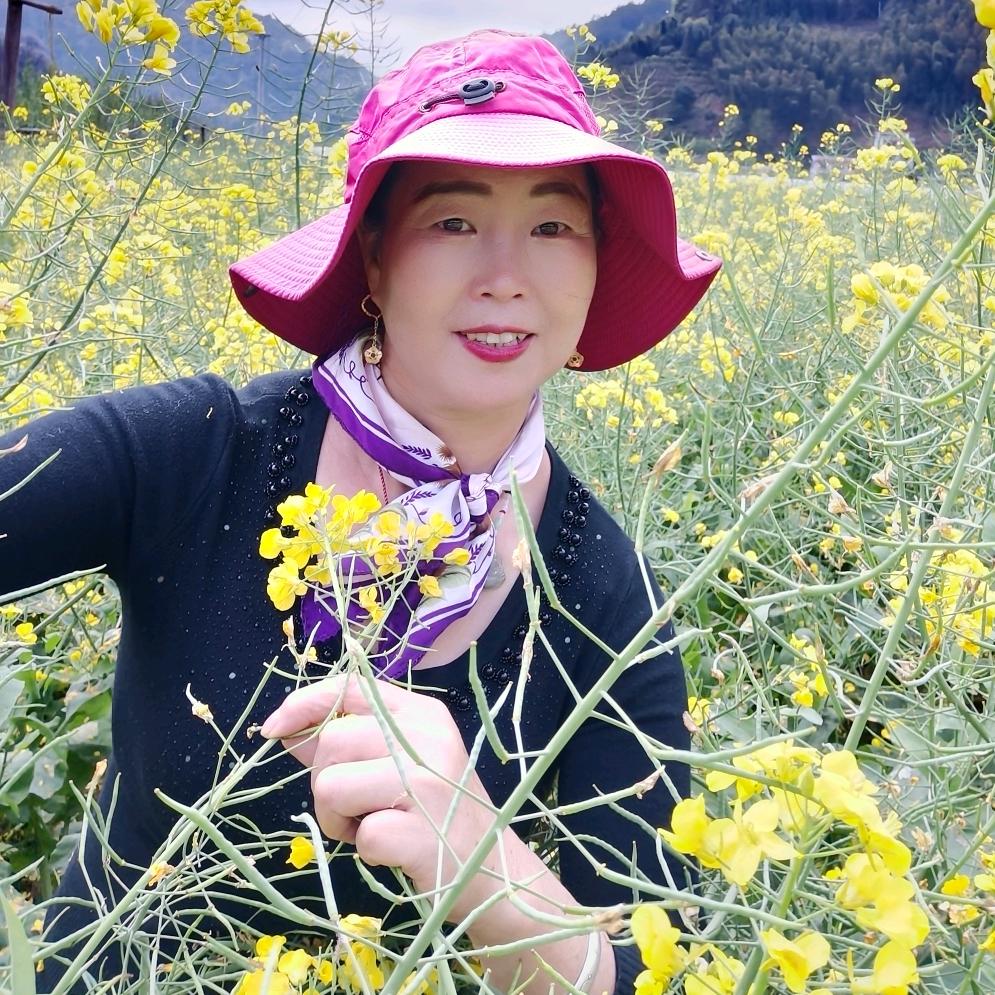 蝶舞花梦