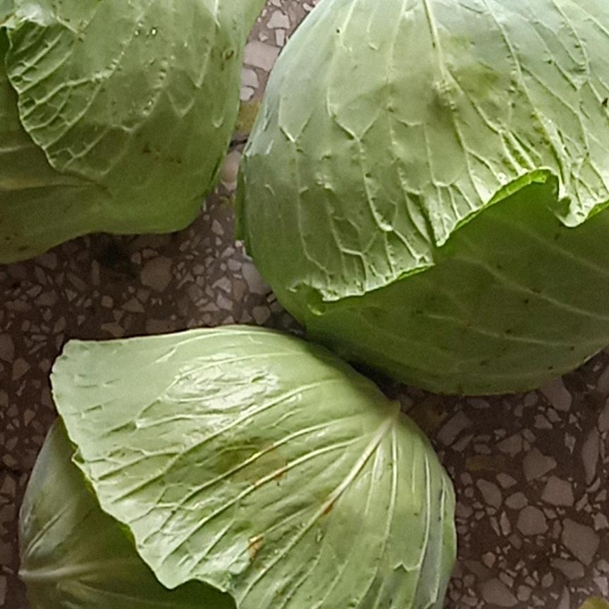 吃亏是福，心宽看淡一切都会美好