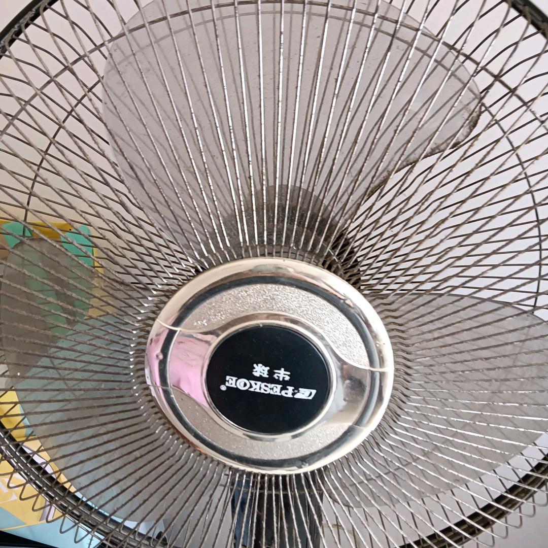 平平淡淡才是真