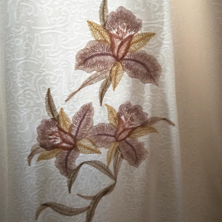 雄鹰展翅