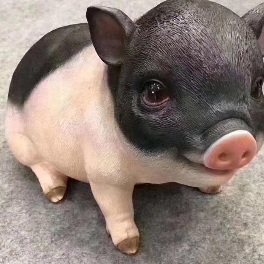 盛鑫护牧，猪跑跑