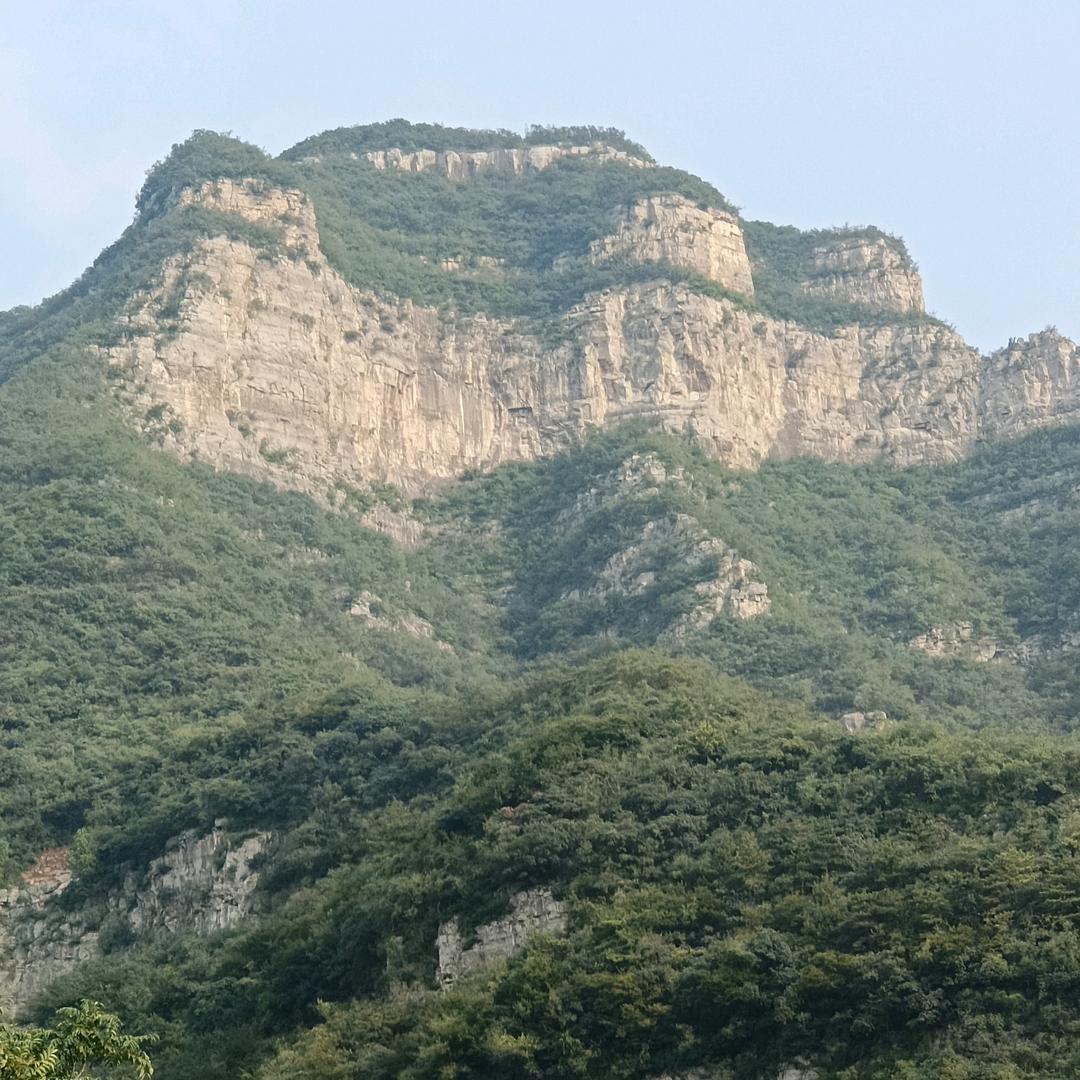 用户利哥