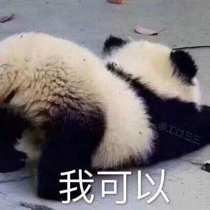 风小小