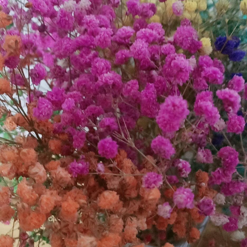 💞愿时光ꦿ待ꦿ我ꦿ如ꦿ初ཀྀ࿐