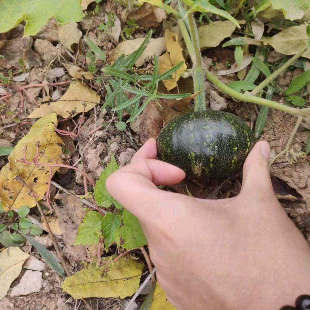 平安是福，，，