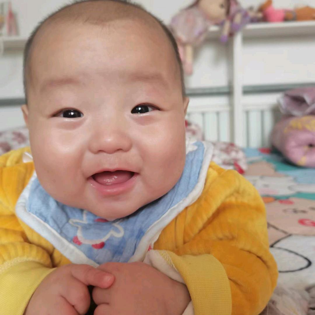 专业拉快递9.6京牌箱货