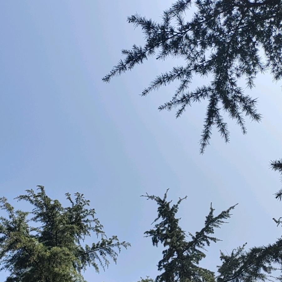 记得对自己好点