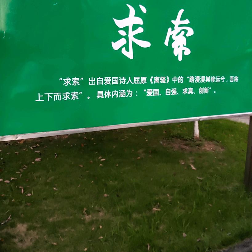 龙成富启