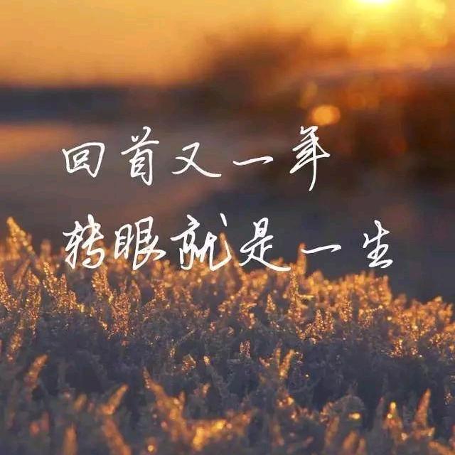 🌟蕊🌟