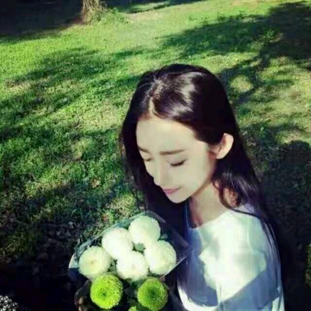 赵凤