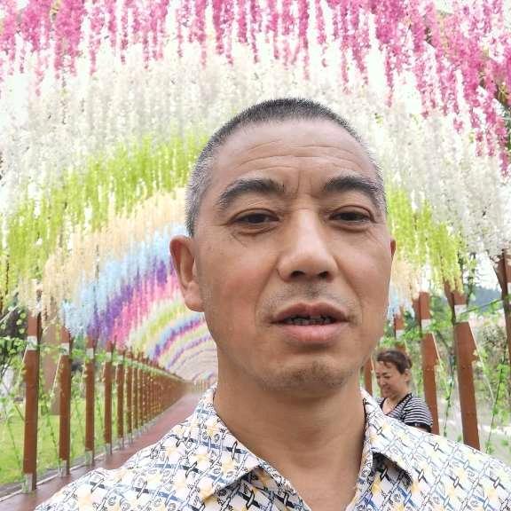 陈氏家族《新哥》