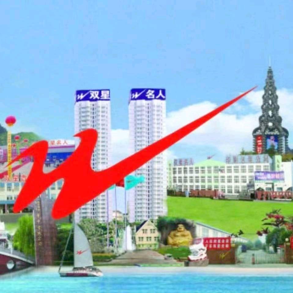 穿上双星鞋潇洒走世界❤️