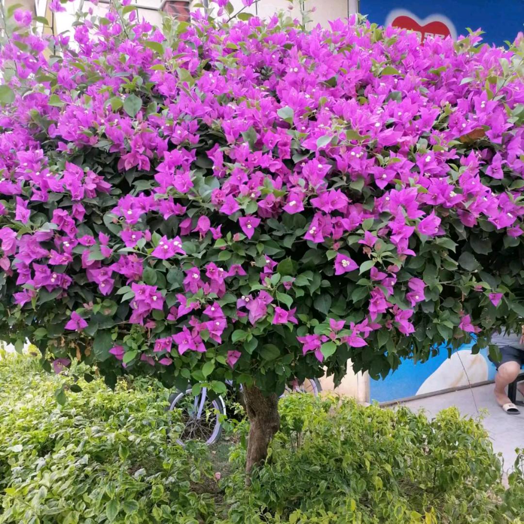 光阴短暂，时光倒流