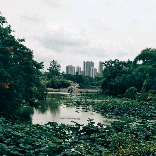 康