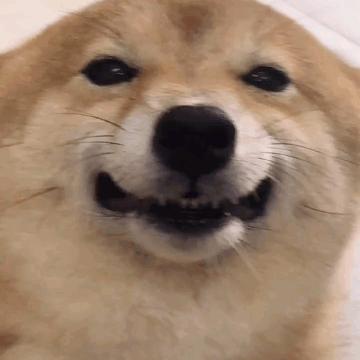 放我出去