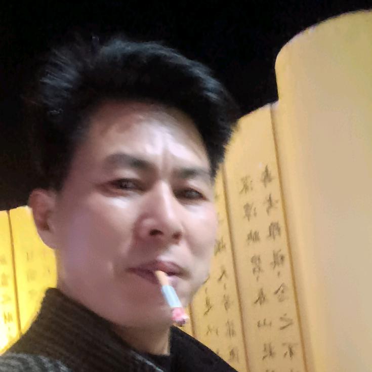 孤雁南飞6249